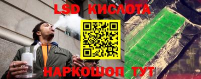 гашик Можга