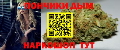 гашик Можга