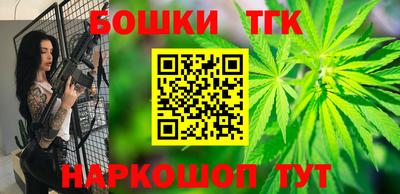 гашик Можга