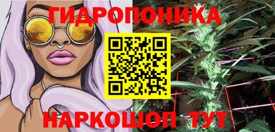 гашик Можга