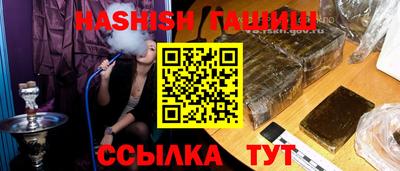 гашик Можга